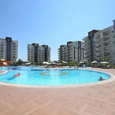 Orion City *